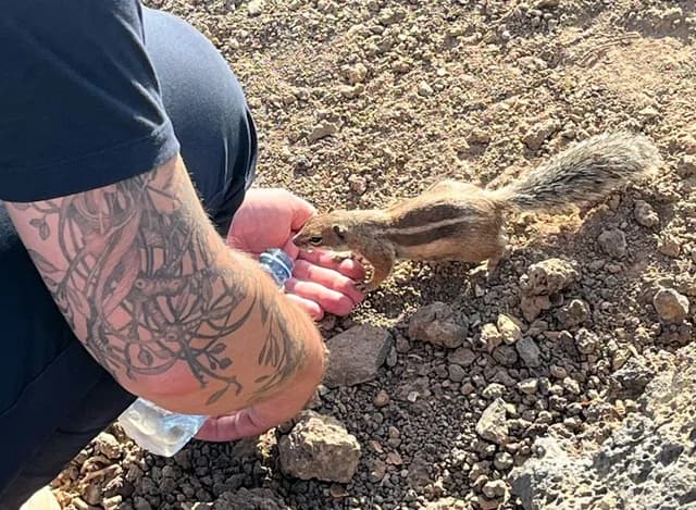 Un petit écureuil vient manger dans la main d'un membre de l'équipe