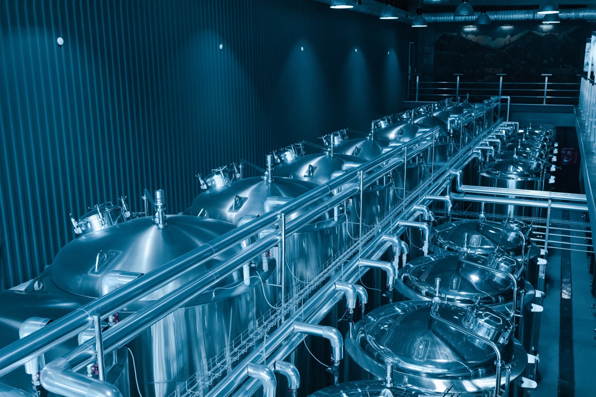 Rangée de cuves inox reliées par un collecteur de tuyauterie dans une salle de brassage