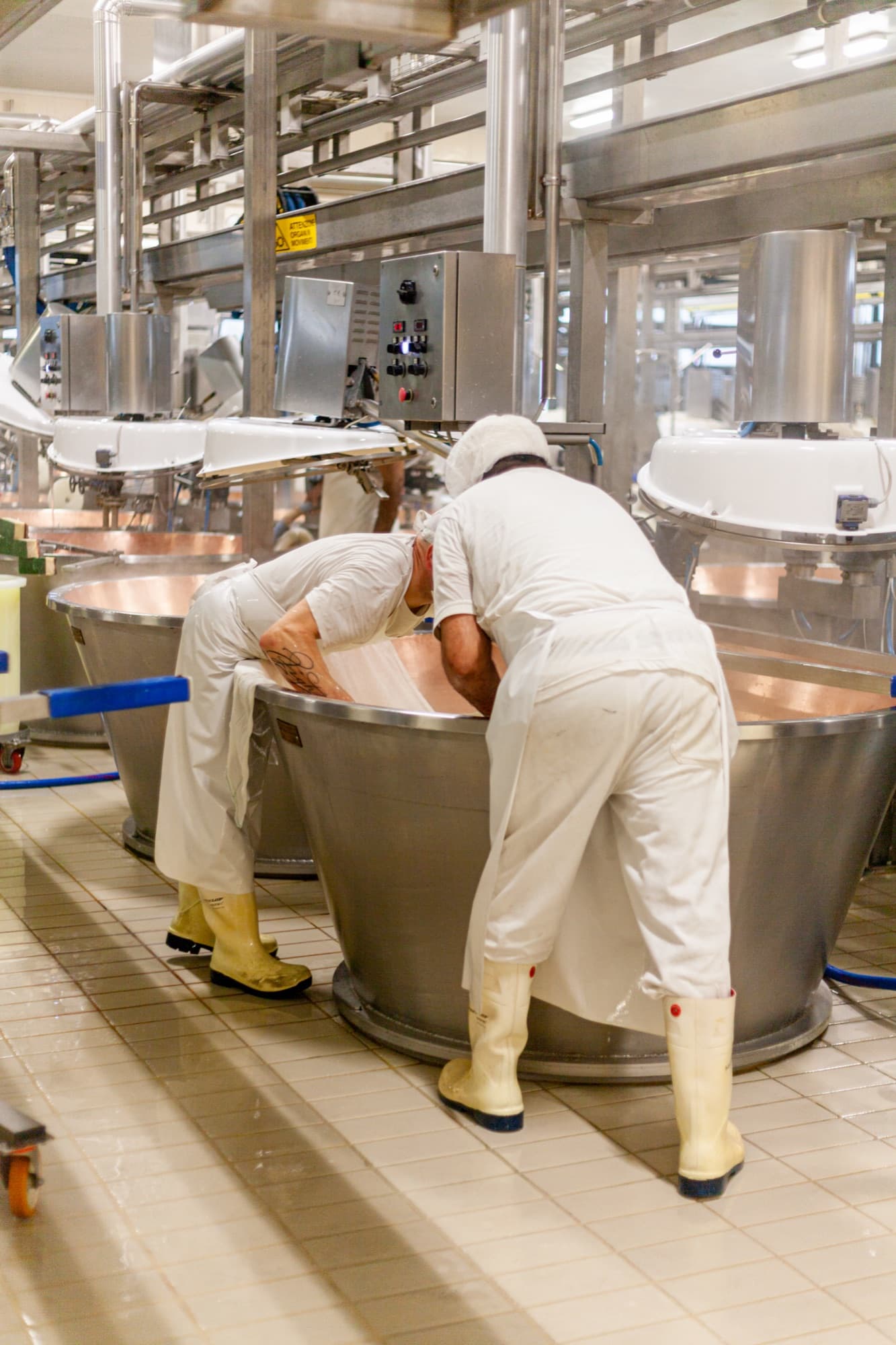 Deux opérateurs en blanc penchés sur des cuves de fromagerie dans un atelier carrelé